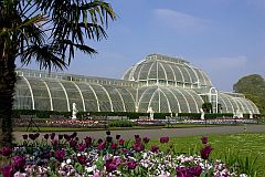picture of the greenhouse in Kew Gardens