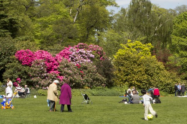 Picture of children and families relaxing in Hampstead Heath park.