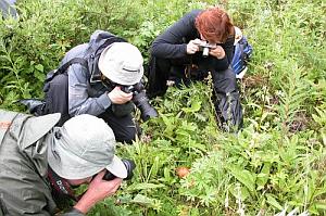 Picture of a mushroom hunters photographing a mushroom.