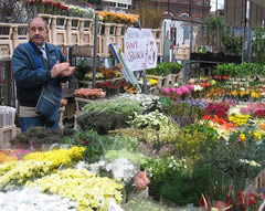 flowers on Columbia Flower Market