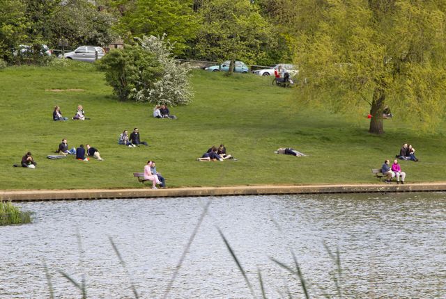 Picture of people having a pleasant time in Hampstead Heath park on sunny Sunday afternoon.